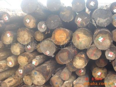 進口優質木材加工 新西蘭輻射松、南美花旗松與落葉松供應