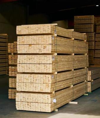 芬林芬寶與德國Cordes集團 以長期合作引領鋸材業務的卓越與共贏