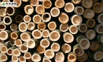 一站式服務，盡在中木商網 木材采購與資訊的首選平臺